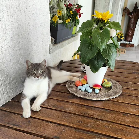 Casa Beuzer Cividale del Friuli